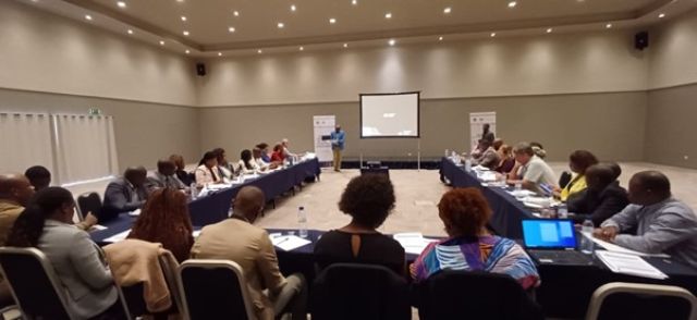 Launch of Mozambique’s National Action Plan on the Voluntary Principles on the occasion of the 11th National Working group meeting in Maputo (17 September 2024)